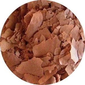 51DDDruLqfL. AC .jpg