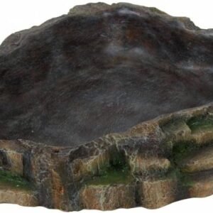 51DrUgfoDzL. AC SL1024 .jpg