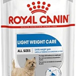 51EPDR7GAVL. AC SL1500 .jpg