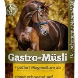 51FbDY33j4L. AC .jpg