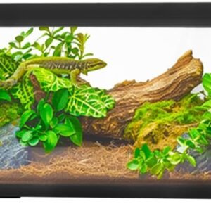 51FdSaoRjCL. AC SL1000 .jpg