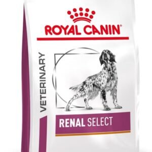 51G6kIbjyXL. AC SL1000 .jpg