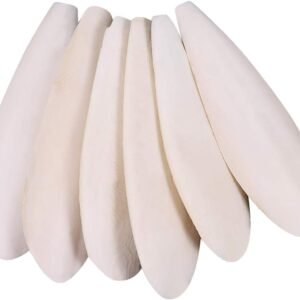 51GCBnnflJL. AC SL1001 .jpg