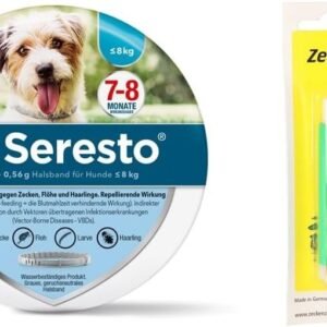 51GILVczaGL. AC SL1003 .jpg