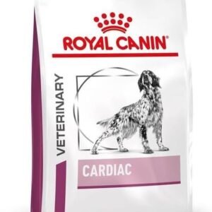 51GN8c6D4bL. AC SL1000 .jpg