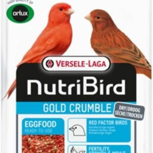 51HHxgBVA7L. AC SL1080 .jpg