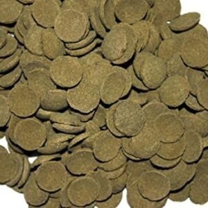 51Hr4Q81zfL. AC .jpg