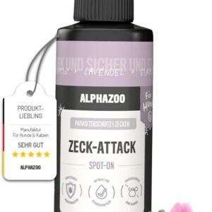 51I7U46RleL. AC SL1280 .jpg