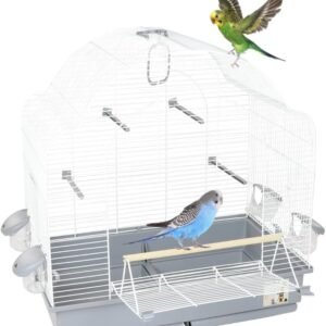 51J646QyTRL. AC SL1000 .jpg