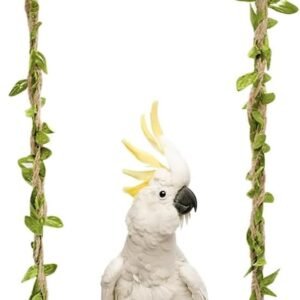 51JHUXWBp8L. AC SL1100 .jpg