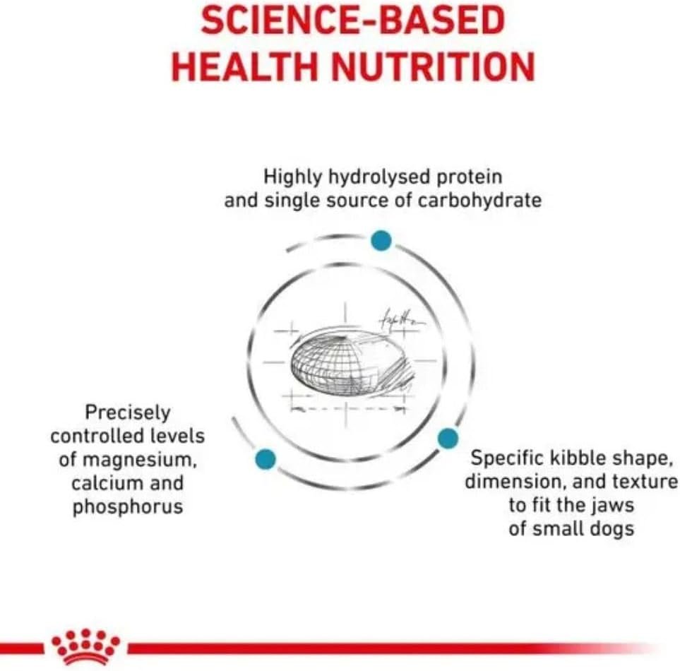 51JUSjWOhCL. AC SL1000 .jpg
