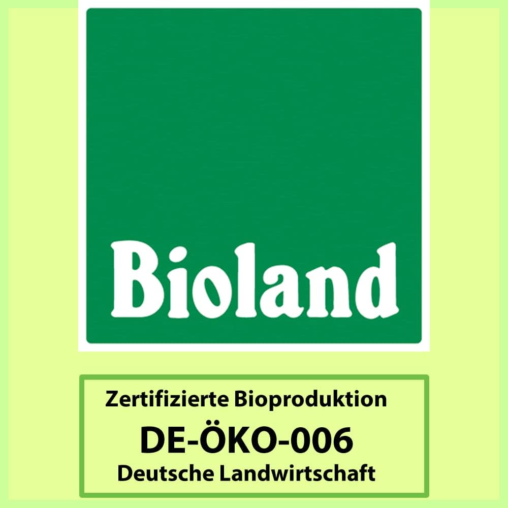 51JYQD EjLL. AC SL1000 .jpg