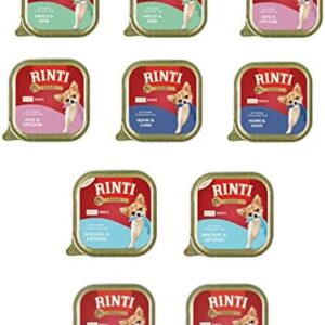 51L JlV47hL. AC .jpg