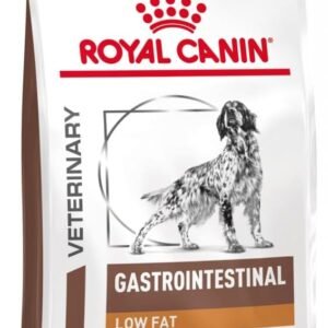 51L492wDLfL. AC SL1000 .jpg