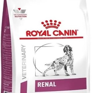 51NQvnoEcKL. AC SL1000 .jpg