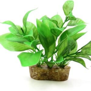 51OJJ GdGtL. AC SL1100 .jpg