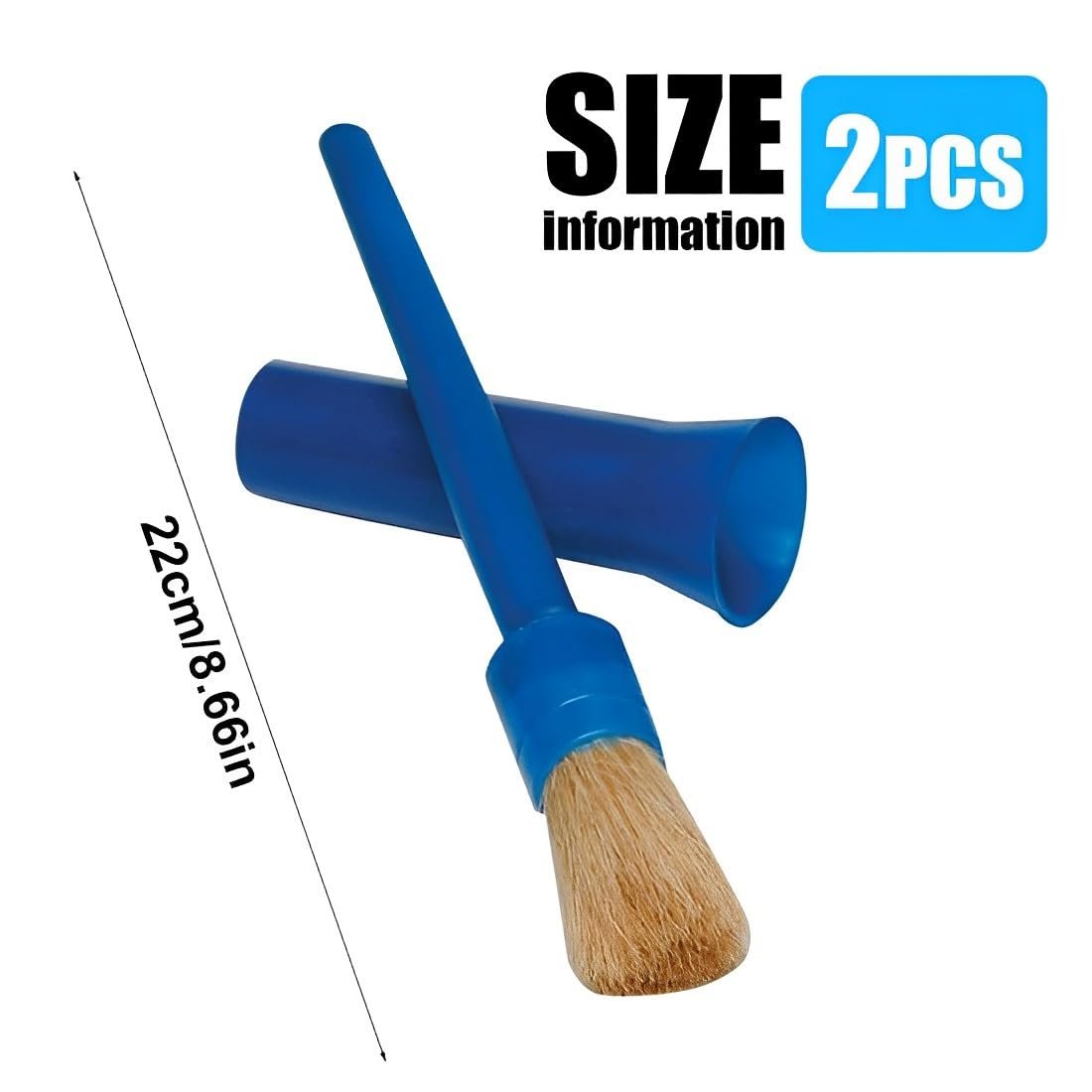 51P0Rx4Y2BL. SL1100 .jpg