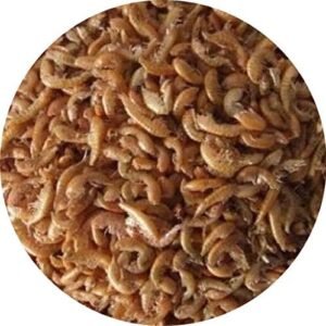 51PjsB1IgLL. AC .jpg