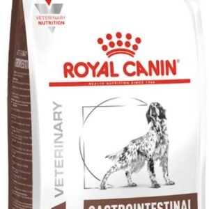 51Q6d8U61EL. AC SL1062 .jpg