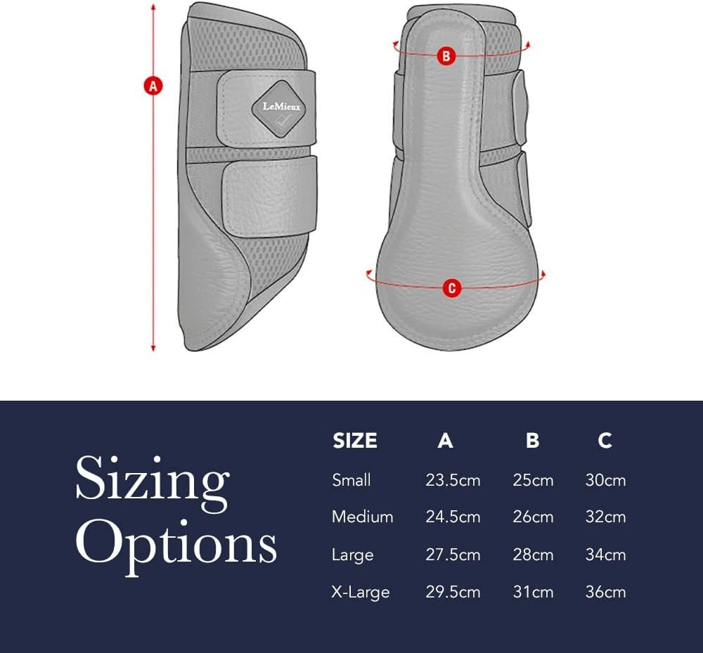 51QuNq864SL. AC SL1000 .jpg