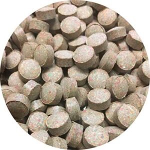 51RLeqOAQoL. AC .jpg