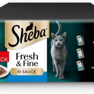 51RwehY4aXL. AC SL1000 .jpg