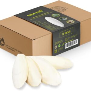 51S7DvXvxL. AC SL1000 .jpg