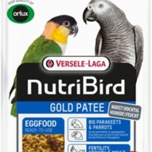 51SHwVMU2PL. AC SL1080 .jpg