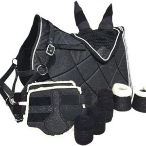 51STTla8y6L. AC .jpg