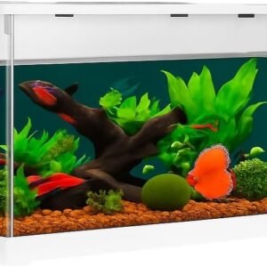 51T8QnOEQNL. AC SL1024 .jpg