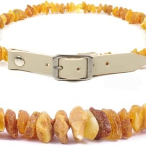 51TXfMte63L. AC SL1080 .jpg