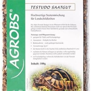 51VSPtPIf2L. AC .jpg