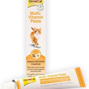 51W6vRMFGIL. AC SL1200 .jpg