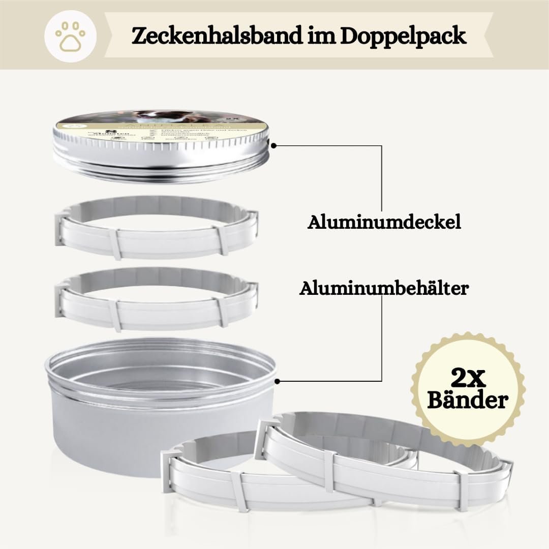 51WF2gedS0L. AC SL1080 .jpg