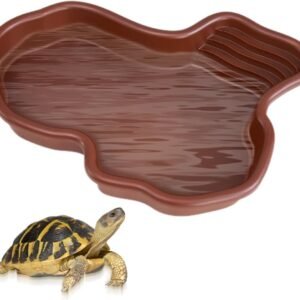 51XOHQwzZfL. AC SL1000 .jpg