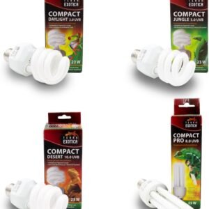 51Y1xBuqTxL. AC SL1000 .jpg