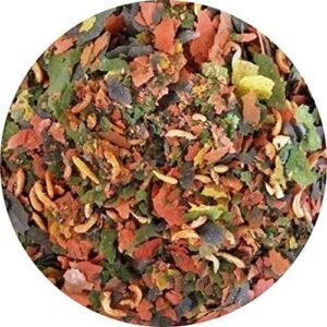 51Yf2gXL94L. AC .jpg