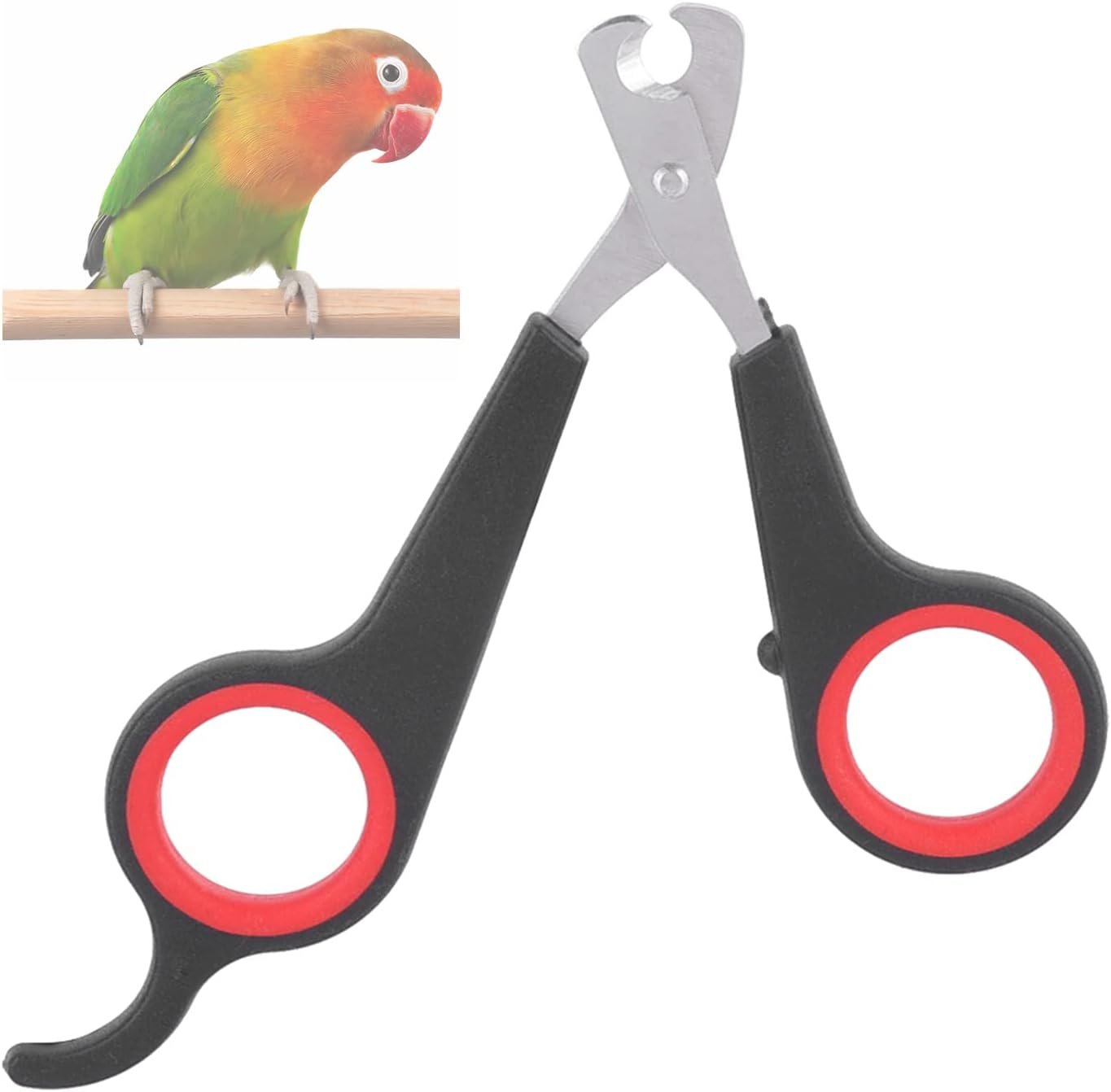 Vogel-Nagelschere, Papageien-Nagelschere, Edelstahl-Krallenpflege für Kleintiere, Nagelknipser für Hunde, Katzen und Kleintiere, Haustier-Krallenzange, Krallenschneider mit Sicherheitsschutz (1) Vogel-Nagelschere, Papageien-Nagelschere, Edelstahl-Krallenpflege für Kleintiere, Nagelknipser für Hunde, Katzen und Kleintiere, Haustier-Krallenzange, Krallenschneider mit Sicherheitsschutz (1)