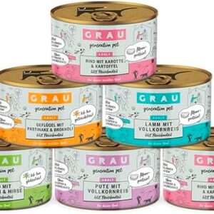 51a9XbNBheL. AC .jpg