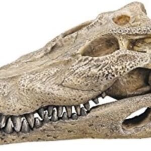 51bQtZMR oL. AC SL1000 .jpg