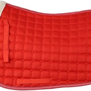 51bTAxg02BL. AC SL1001 .jpg