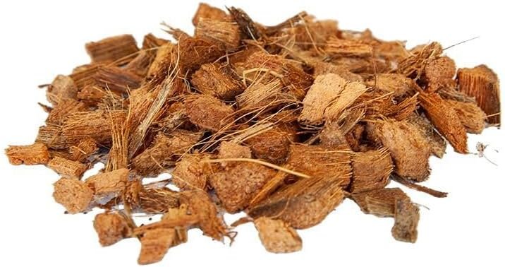 51dyS961eL. AC SL1000 .jpg