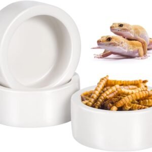 51e5fafPloL. AC SL1280 .jpg