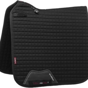 51fSwfbaJ2L. AC SL1280 .jpg