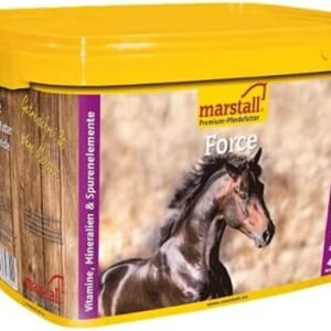 51fU8RbcyML. AC SL1002 .jpg