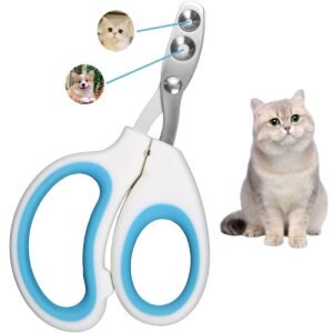 51fWE3FTHVL. SL1100 .jpg