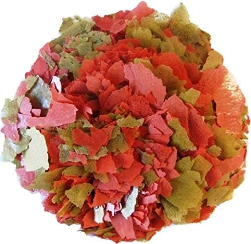 51hZy yv3kL. AC .jpg