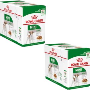 51i5KFTVlEL. AC SL1080 .jpg