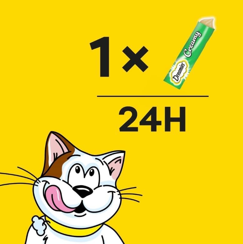 51i5hoX6r5L. AC .jpg