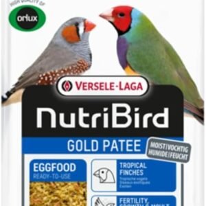 51iGl5HL. AC SL1080 .jpg